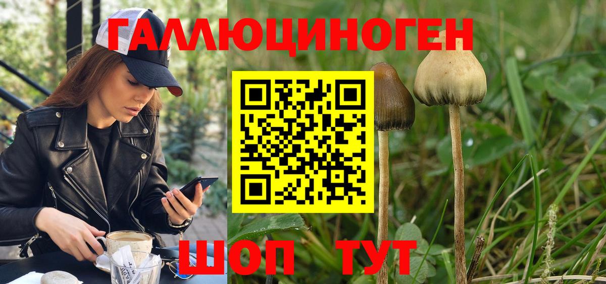 Костомукша  Псилоцибиновые грибы прущие грибы  Вход с VPN  Галлюциногенные грибы мицелий 