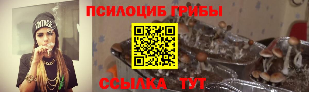 Псилоцибиновые грибы прущие грибы Костомукша
